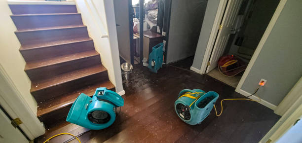 Best Flooded house restoration  in Leisure World, MD