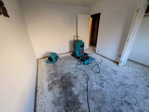 Best Ceiling water damage repair  in Leisure World, MD