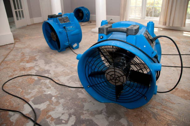 Best Flood damage cleanup  in Leisure World, MD