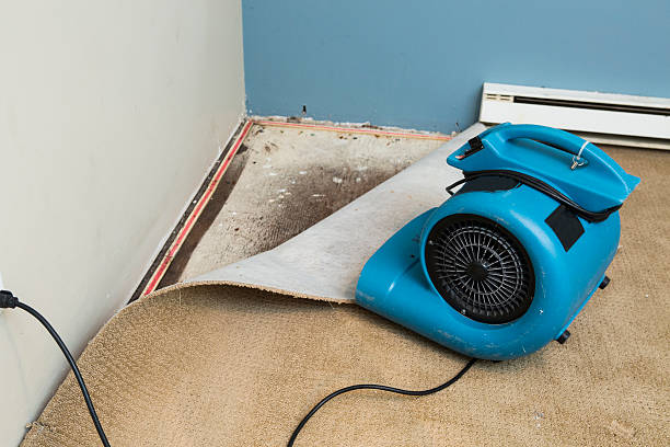 Leisure World, MD Water damage restoration Pros